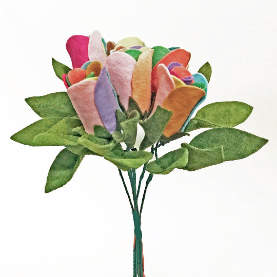 Unicorn Rainbow Roses