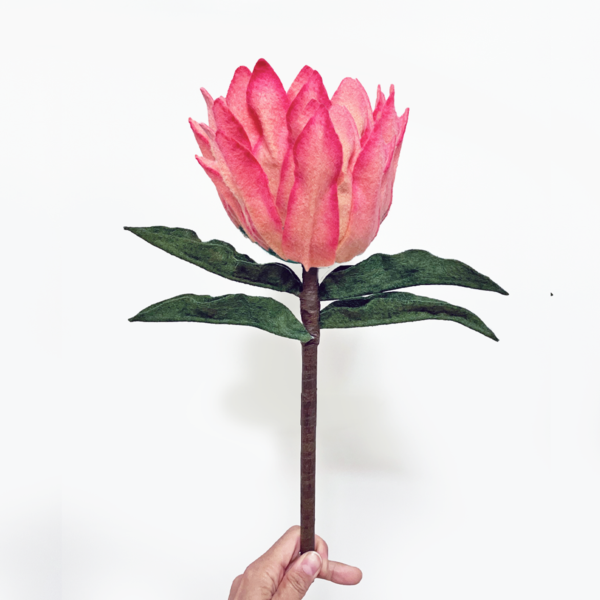 King Protea, Eucalyptus, and Larkspur