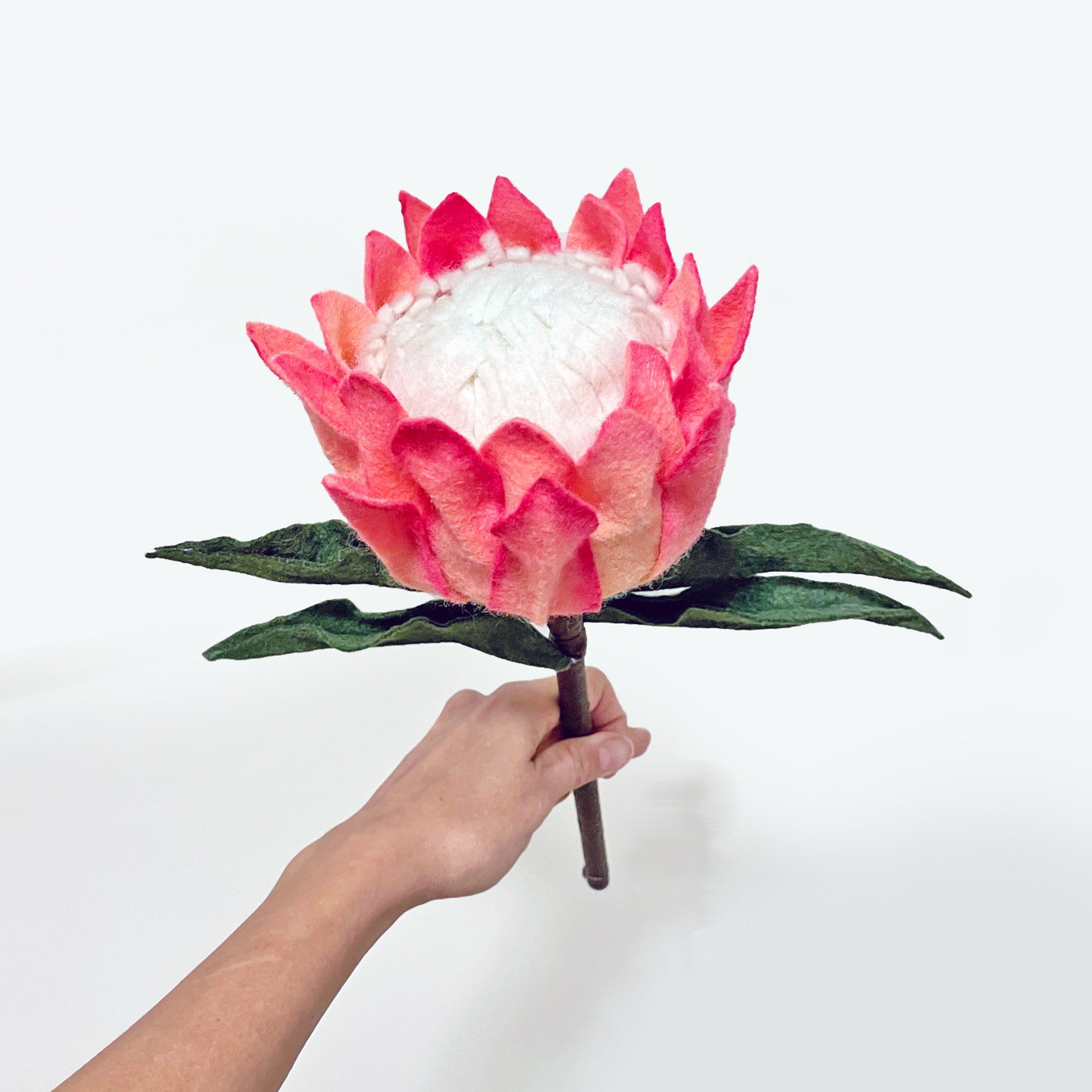 King Protea, Eucalyptus, and Larkspur