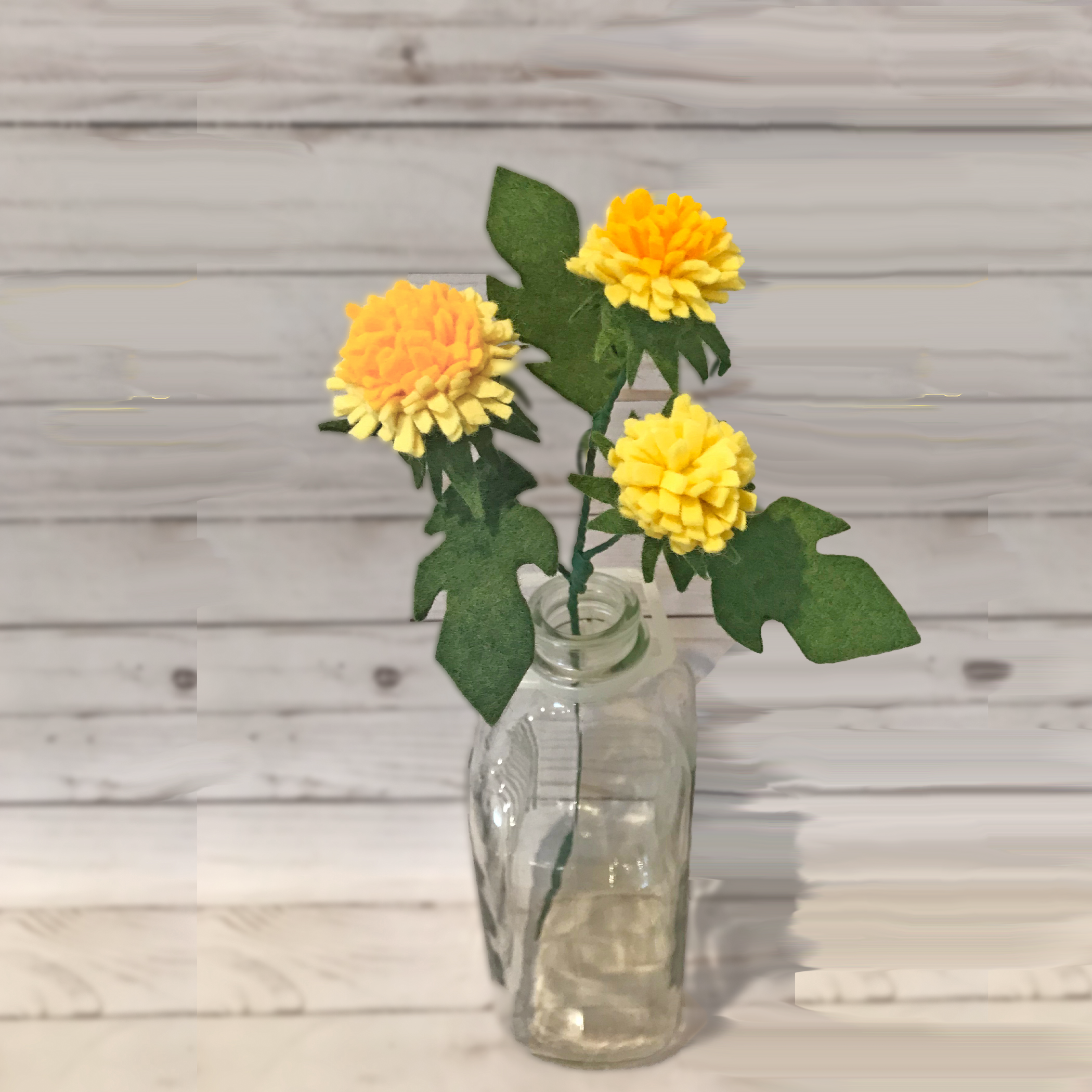 Dandelion Stem