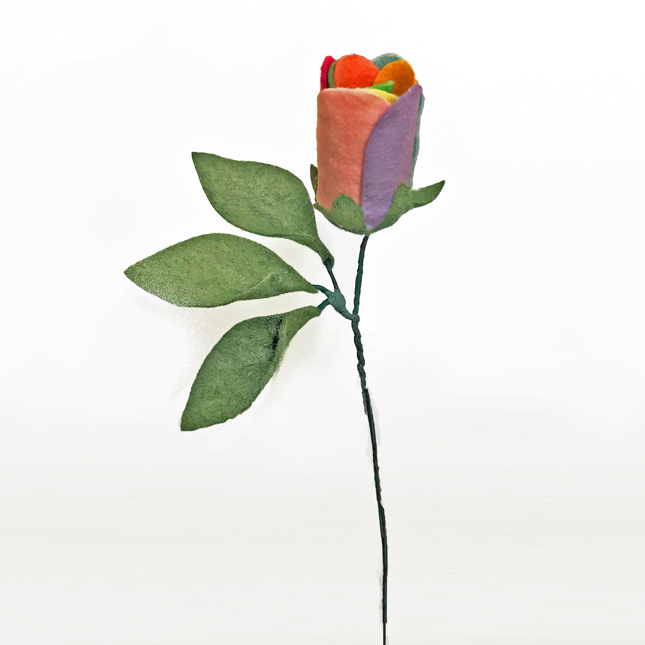 Unicorn Rainbow Roses